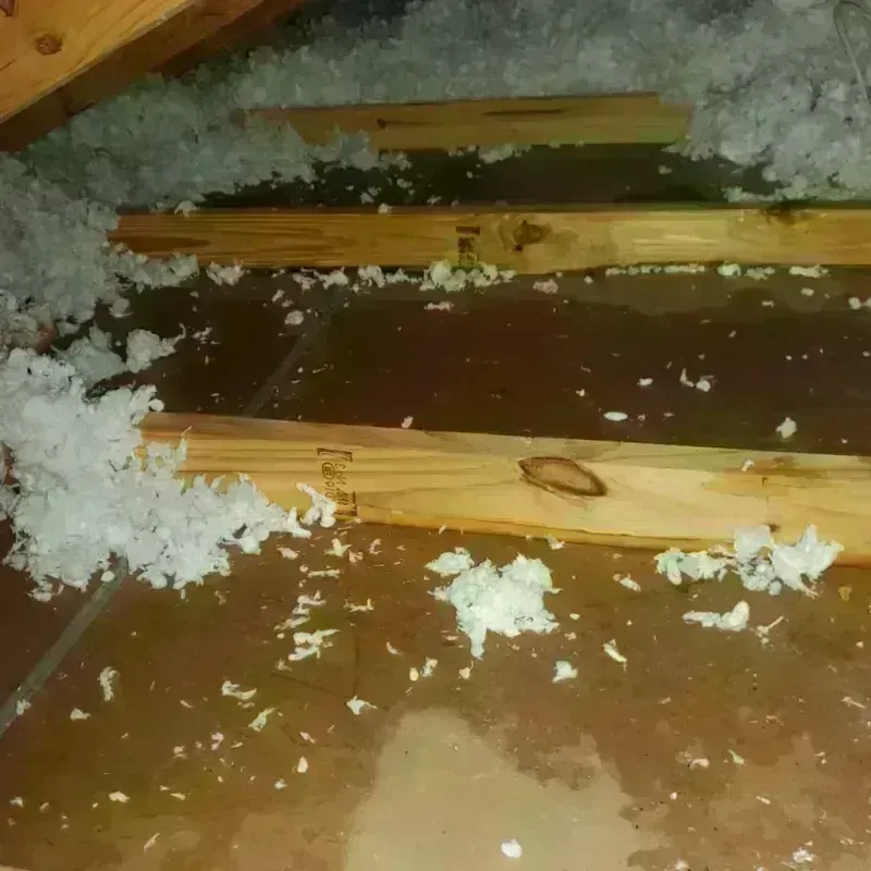 Attic Water Damage in Union City, TN